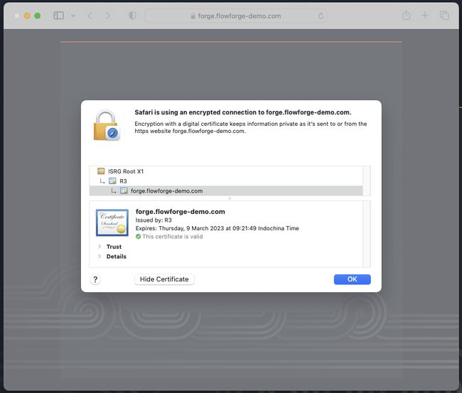 A screenshot from Safari web browser showing that the traffic to FlowForge is encrypted