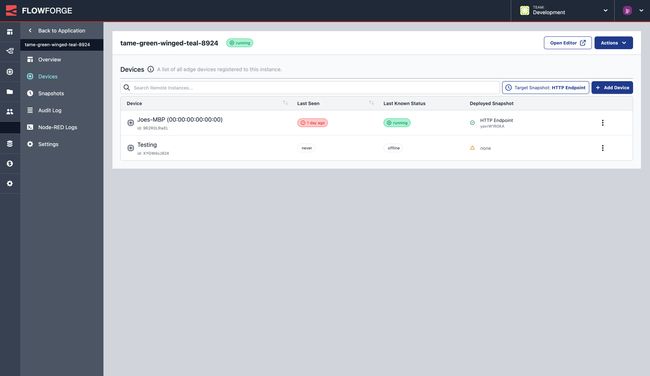 Screenshot to show an Instance's "Devices" view